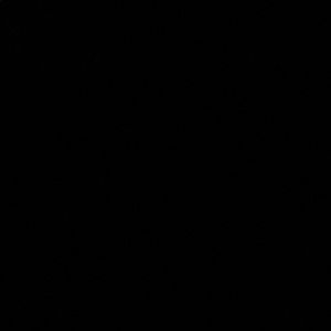 Meet your Posher, Victor